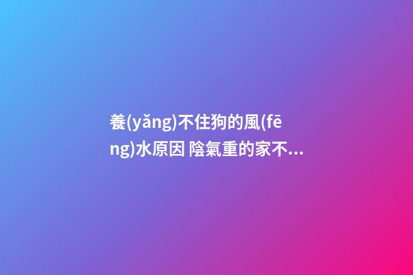 養(yǎng)不住狗的風(fēng)水原因 陰氣重的家不好養(yǎng)
